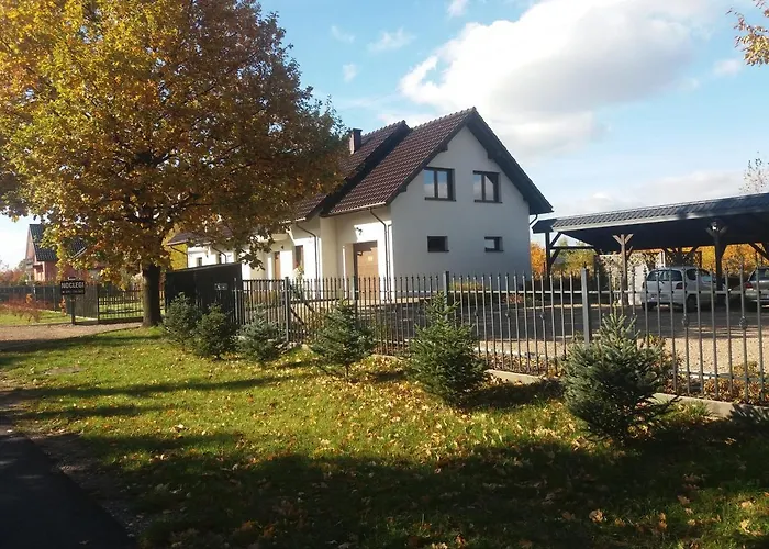 Pod Debem * סקאווינה